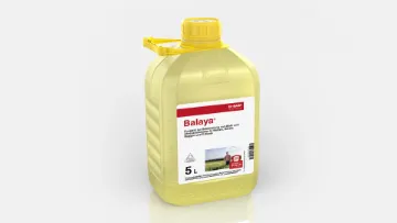 Balaya®
